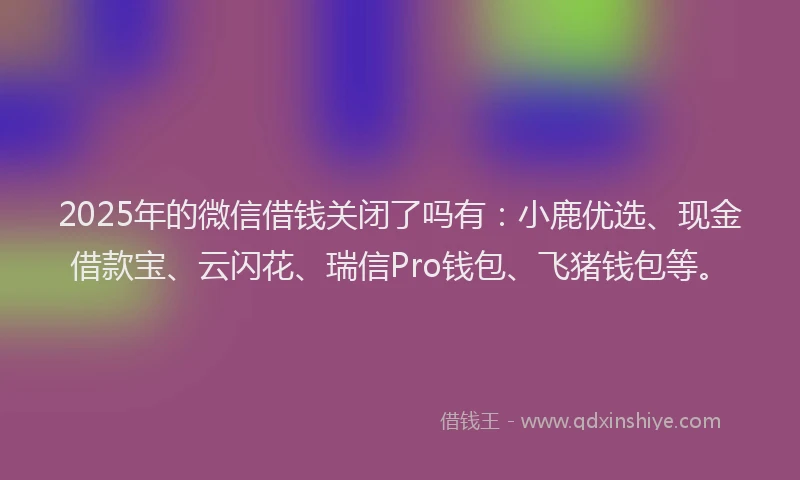 2025年的微信借钱关闭了吗有：小鹿优选、现金借款宝、云闪花、瑞信Pro钱包、飞猪钱包等。