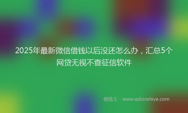 2025年最新微信借钱以后没还怎么办，汇总5个网贷无视不查征信软件