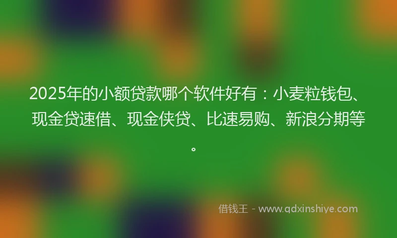 2025年的小额贷款哪个软件好有：小麦粒钱包、现金贷速借、现金侠贷、比速易购、新浪分期等。