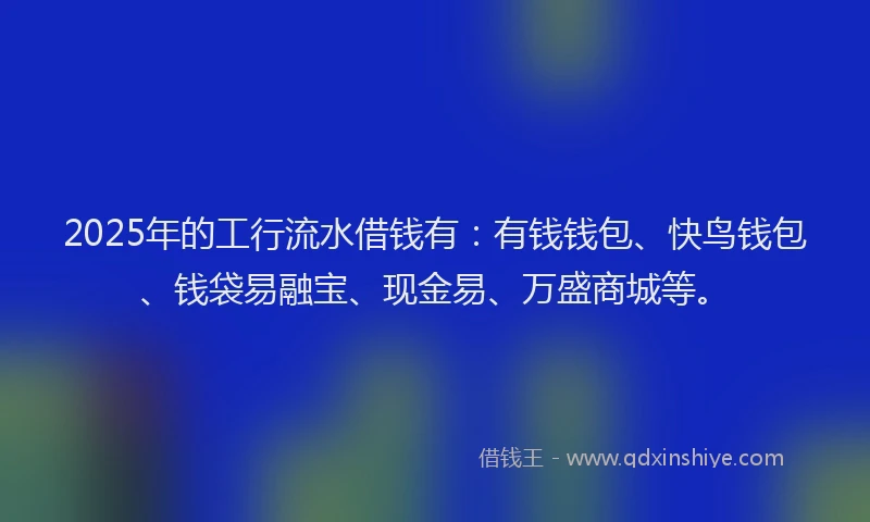 2025年的工行流水借钱有：有钱钱包、快鸟钱包、钱袋易融宝、现金易、万盛商城等。