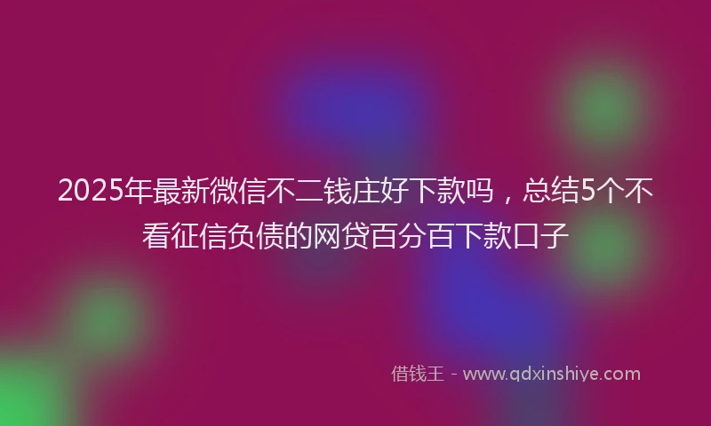 2025年最新微信不二钱庄好下款吗，总结5个不看征信负债的网贷百分百下款口子