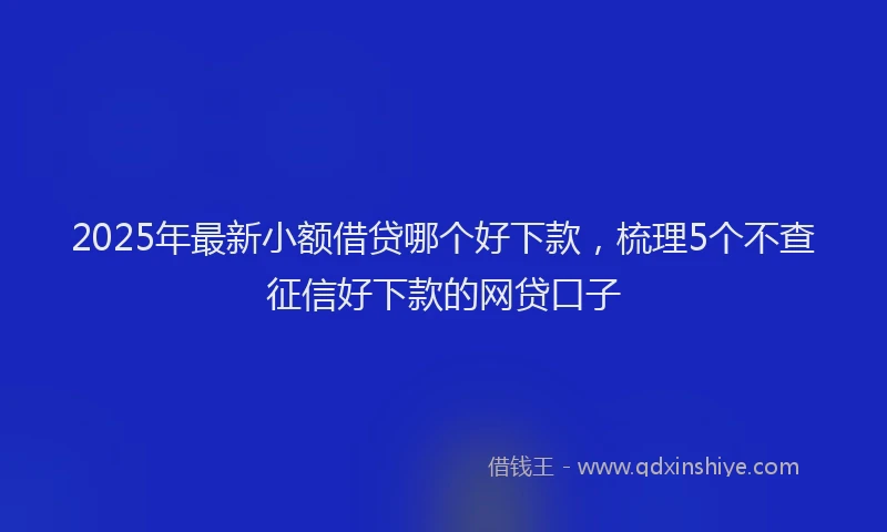 2025年最新小额借贷哪个好下款，梳理5个不查征信好下款的网贷口子