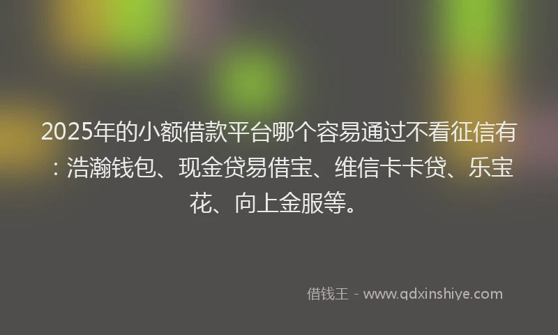 2025年的小额借款平台哪个容易通过不看征信有：浩瀚钱包、现金贷易借宝、维信卡卡贷、乐宝花、向上金服等。