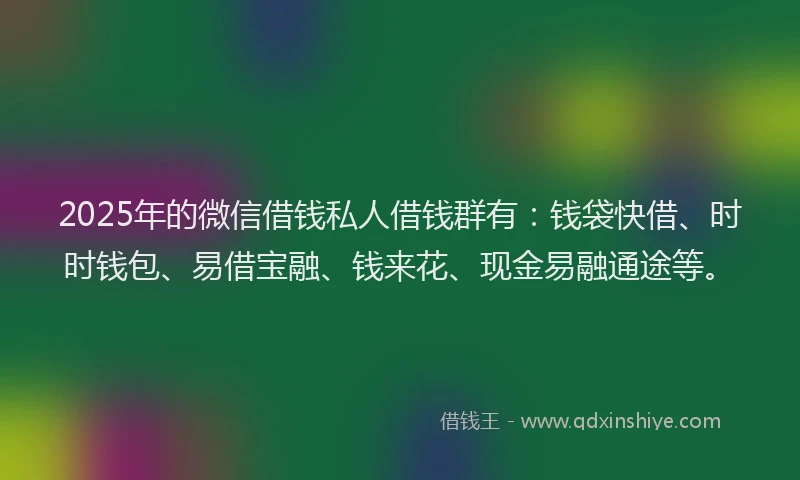 2025年的微信借钱私人借钱群有：钱袋快借、时时钱包、易借宝融、钱来花、现金易融通途等。