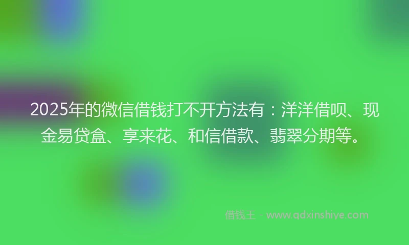 2025年的微信借钱打不开方法有：洋洋借呗、现金易贷盒、享来花、和信借款、翡翠分期等。
