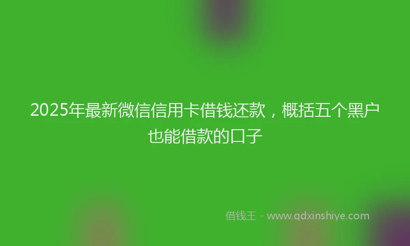 2025年最新微信信用卡借钱还款，概括五个黑户也能借款的口子