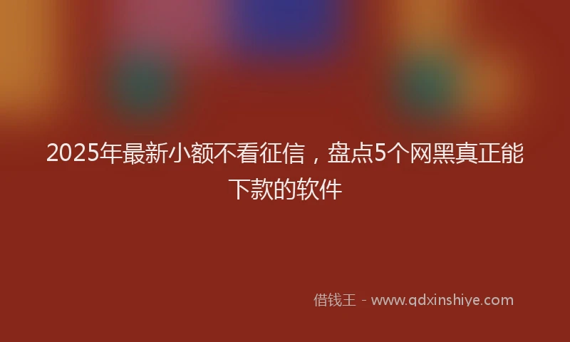 2025年最新小额不看征信，盘点5个网黑真正能下款的软件
