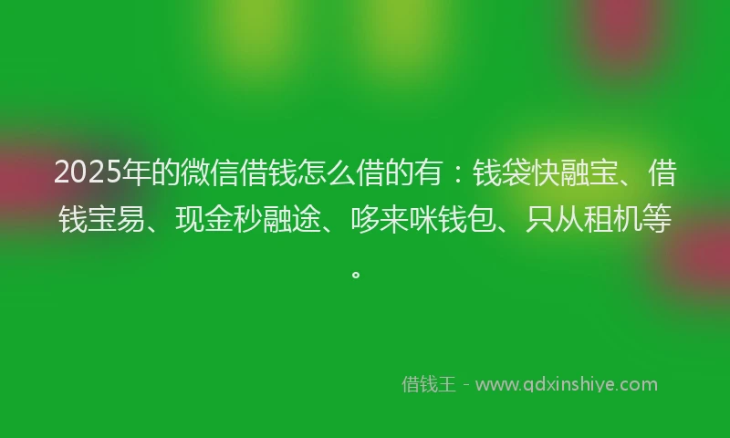 2025年的微信借钱怎么借的有：钱袋快融宝、借钱宝易、现金秒融途、哆来咪钱包、只从租机等。