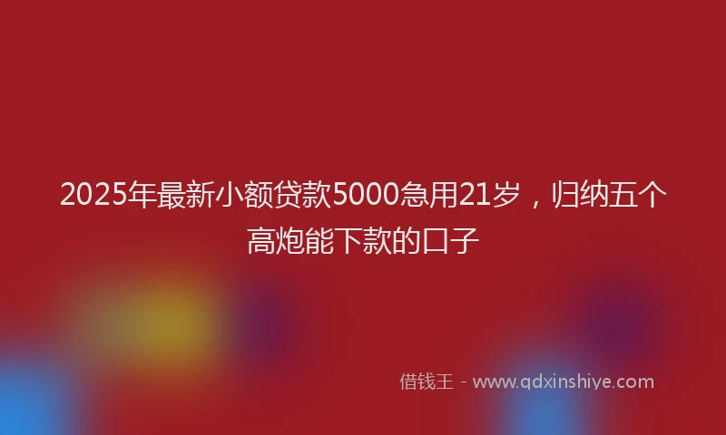 2025年最新小额贷款5000急用21岁，归纳五个高炮能下款的口子