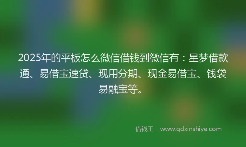 2025年的平板怎么微信借钱到微信有：星梦借款通、易借宝速贷、现用分期、现金易借宝、钱袋易融宝等。