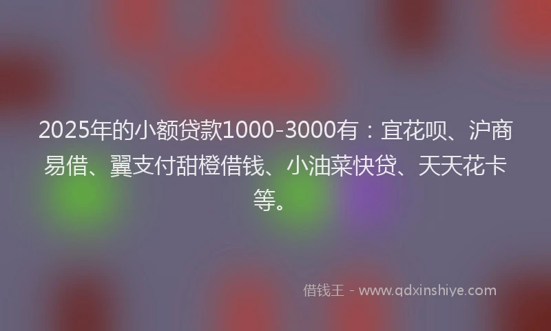 2025年的小额贷款1000-3000有：宜花呗、沪商易借、翼支付甜橙借钱、小油菜快贷、天天花卡等。