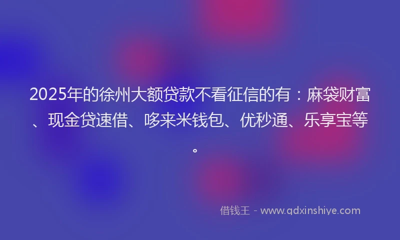 2025年的徐州大额贷款不看征信的有：麻袋财富、现金贷速借、哆来米钱包、优秒通、乐享宝等。