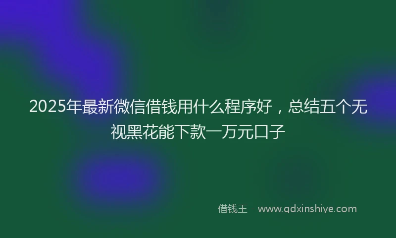 2025年最新微信借钱用什么程序好，总结五个无视黑花能下款一万元口子