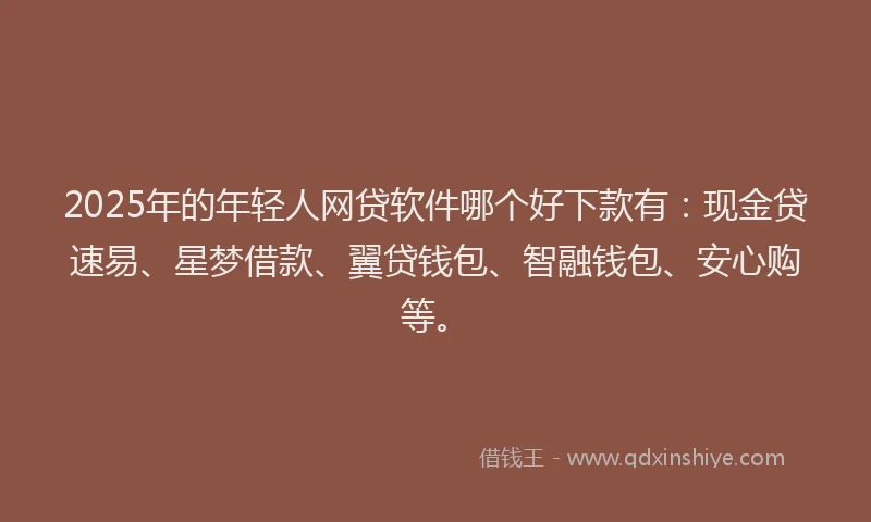 2025年的年轻人网贷软件哪个好下款有：现金贷速易、星梦借款、翼贷钱包、智融钱包、安心购等。