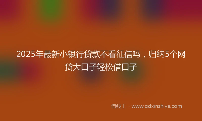 2025年最新小银行贷款不看征信吗，归纳5个网贷大口子轻松借口子
