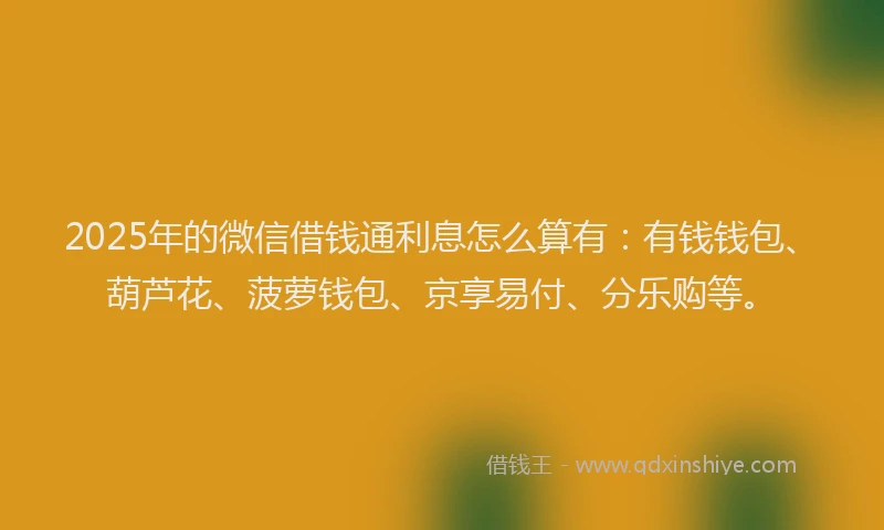 2025年的微信借钱通利息怎么算有：有钱钱包、葫芦花、菠萝钱包、京享易付、分乐购等。