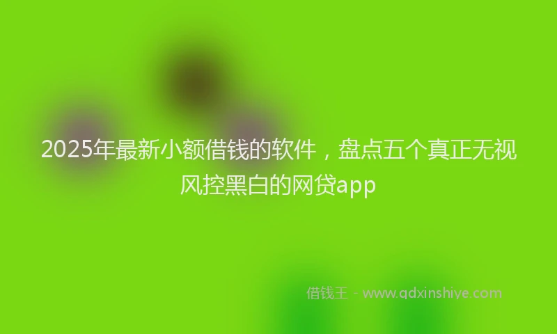 2025年最新小额借钱的软件，盘点五个真正无视风控黑白的网贷app