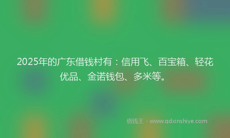 2025年的广东借钱村有：信用飞、百宝箱、轻花优品、金诺钱包、多米等。