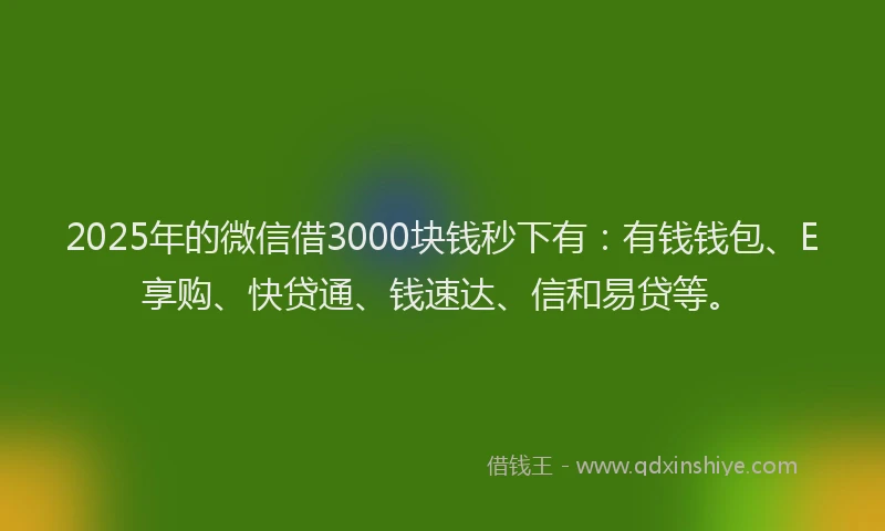 2025年的微信借3000块钱秒下有：有钱钱包、E享购、快贷通、钱速达、信和易贷等。
