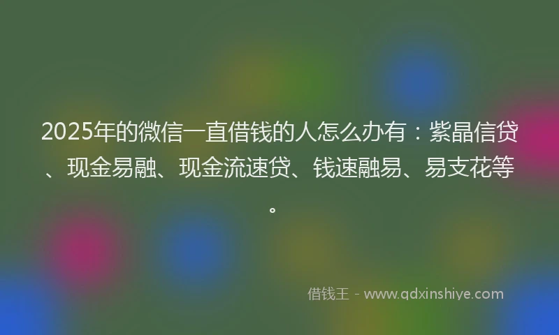 2025年的微信一直借钱的人怎么办有：紫晶信贷、现金易融、现金流速贷、钱速融易、易支花等。