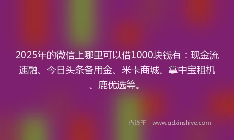 2025年的微信上哪里可以借1000块钱有：现金流速融、今日头条备用金、米卡商城、掌中宝租机、鹿优选等。