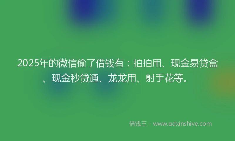 2025年的微信偷了借钱有：拍拍用、现金易贷盒、现金秒贷通、龙龙用、射手花等。