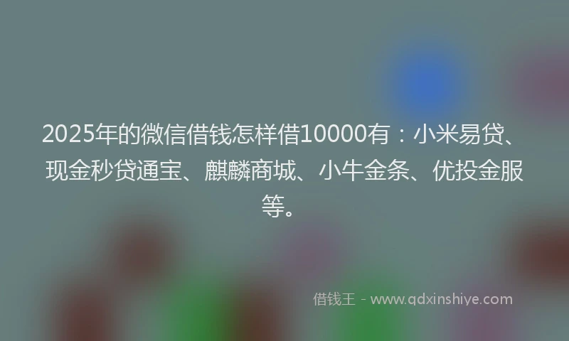 2025年的微信借钱怎样借10000有：小米易贷、现金秒贷通宝、麒麟商城、小牛金条、优投金服等。