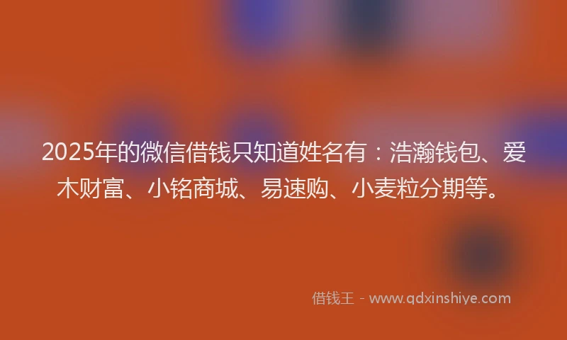 2025年的微信借钱只知道姓名有：浩瀚钱包、爱木财富、小铭商城、易速购、小麦粒分期等。