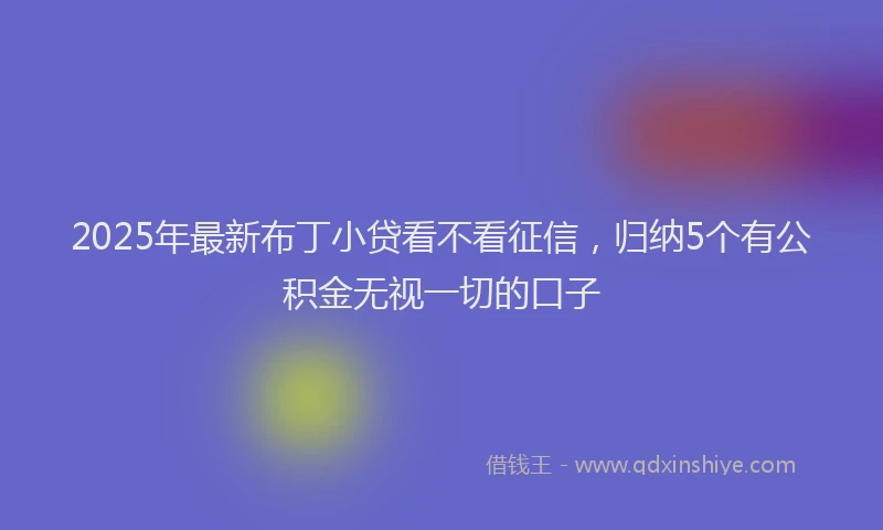 2025年最新布丁小贷看不看征信，归纳5个有公积金无视一切的口子