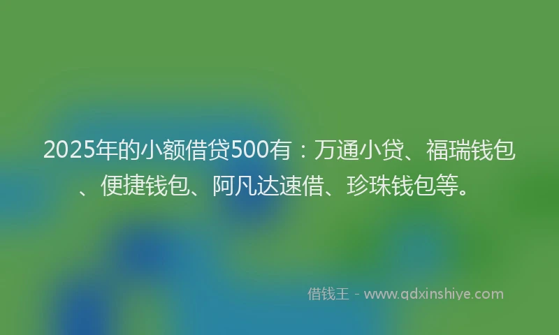 2025年的小额借贷500有：万通小贷、福瑞钱包、便捷钱包、阿凡达速借、珍珠钱包等。