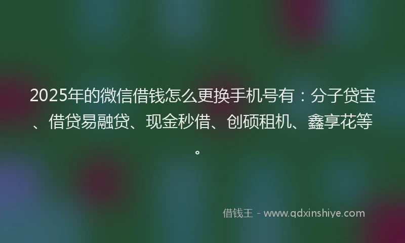 2025年的微信借钱怎么更换手机号有：分子贷宝、借贷易融贷、现金秒借、创硕租机、鑫享花等。
