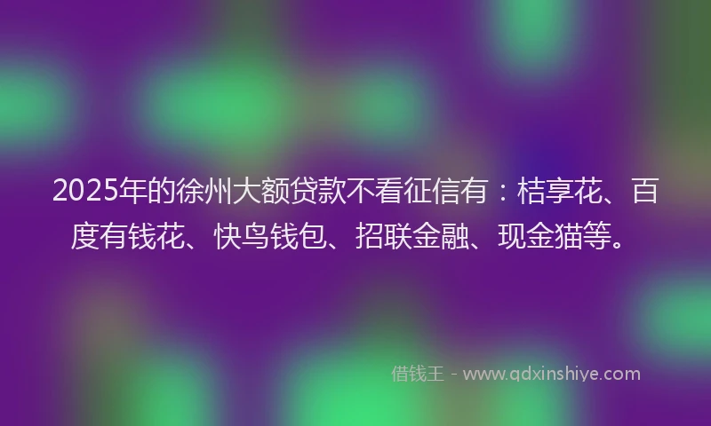2025年的徐州大额贷款不看征信有：桔享花、百度有钱花、快鸟钱包、招联金融、现金猫等。