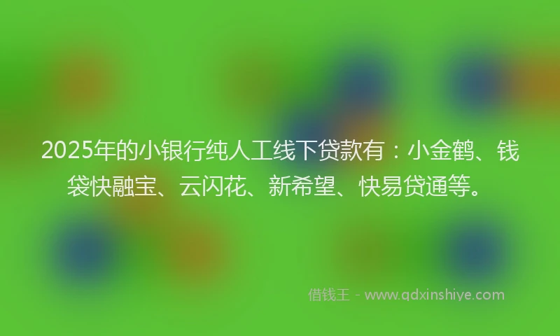2025年的小银行纯人工线下贷款有：小金鹤、钱袋快融宝、云闪花、新希望、快易贷通等。
