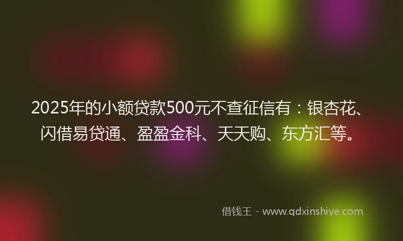 2025年的小额贷款500元不查征信有：银杏花、闪借易贷通、盈盈金科、天天购、东方汇等。