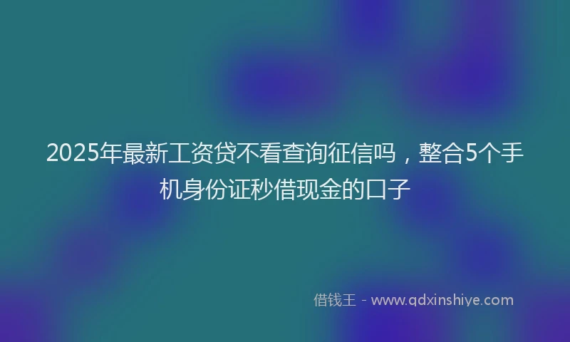 2025年最新工资贷不看查询征信吗，整合5个手机身份证秒借现金的口子