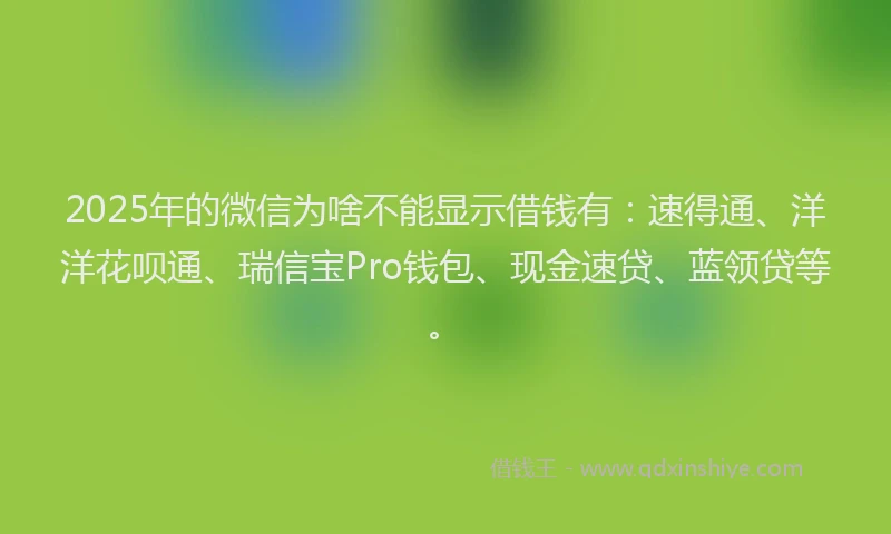 2025年的微信为啥不能显示借钱有：速得通、洋洋花呗通、瑞信宝Pro钱包、现金速贷、蓝领贷等。