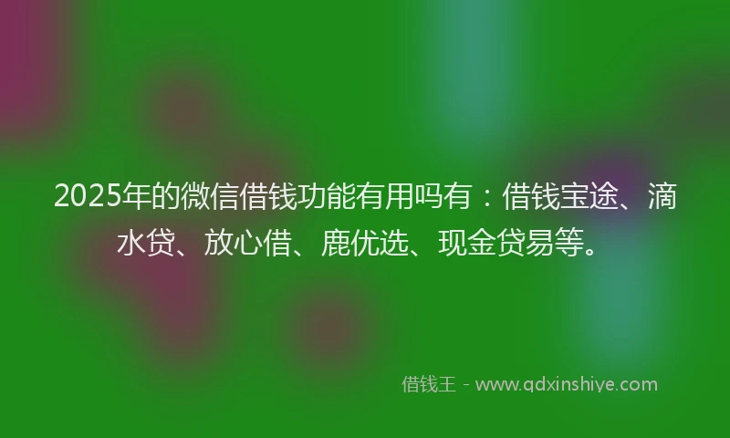 2025年的微信借钱功能有用吗有：借钱宝途、滴水贷、放心借、鹿优选、现金贷易等。