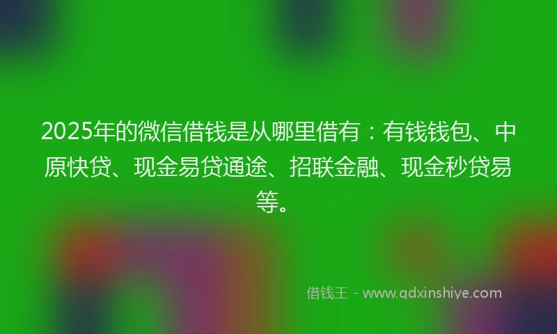 2025年的微信借钱是从哪里借有：有钱钱包、中原快贷、现金易贷通途、招联金融、现金秒贷易等。