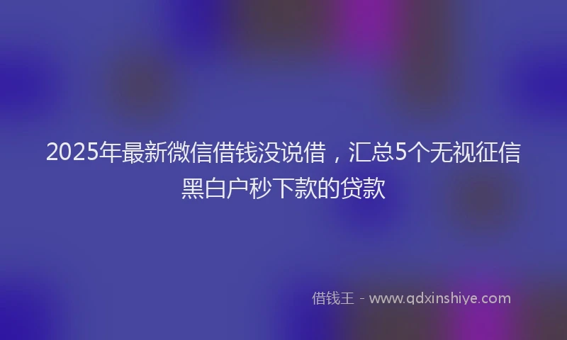 2025年最新微信借钱没说借，汇总5个无视征信黑白户秒下款的贷款