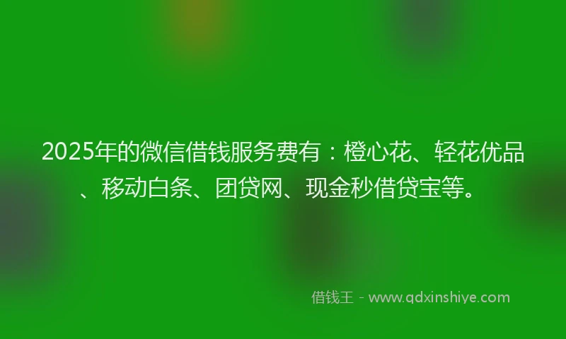 2025年的微信借钱服务费有：橙心花、轻花优品、移动白条、团贷网、现金秒借贷宝等。
