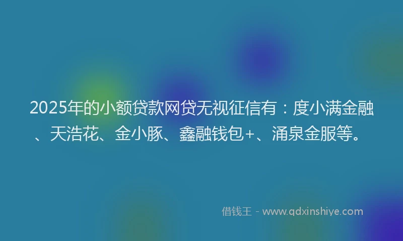 2025年的小额贷款网贷无视征信有：度小满金融、天浩花、金小豚、鑫融钱包+、涌泉金服等。