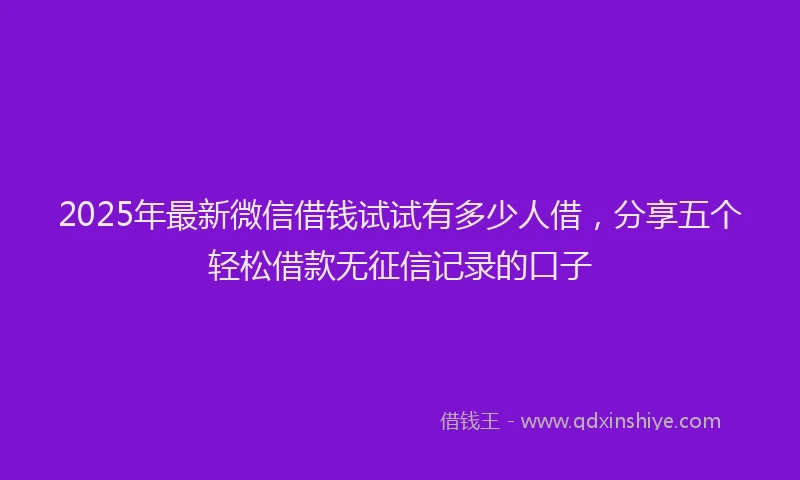 2025年最新微信借钱试试有多少人借，分享五个轻松借款无征信记录的口子