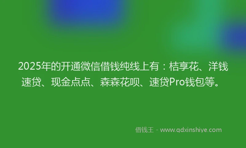 2025年的开通微信借钱纯线上有：桔享花、洋钱速贷、现金点点、森森花呗、速贷Pro钱包等。