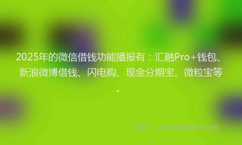 2025年的微信借钱功能播报有：汇融Pro+钱包、新浪微博借钱、闪电购、现金分期宝、微粒宝等。