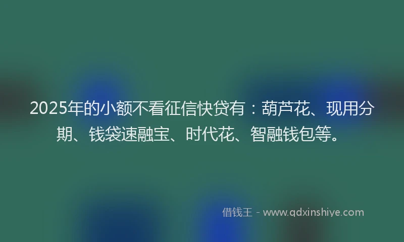 2025年的小额不看征信快贷有：葫芦花、现用分期、钱袋速融宝、时代花、智融钱包等。