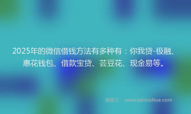 2025年的微信借钱方法有多种有：你我贷-极融、惠花钱包、借款宝贷、芸豆花、现金易等。