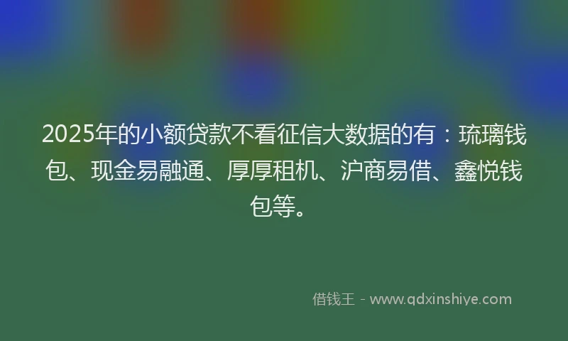 2025年的小额贷款不看征信大数据的有：琉璃钱包、现金易融通、厚厚租机、沪商易借、鑫悦钱包等。