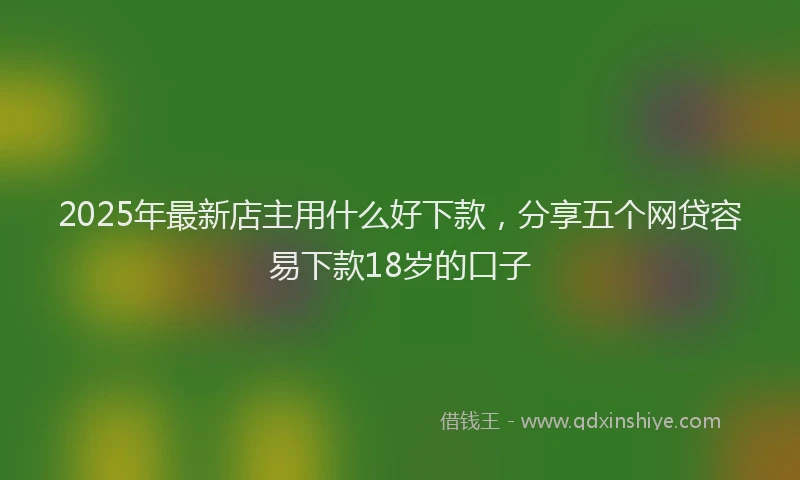 2025年最新店主用什么好下款，分享五个网贷容易下款18岁的口子