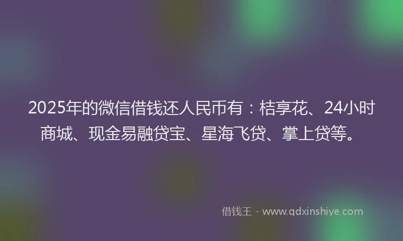 2025年的微信借钱还人民币有：桔享花、24小时商城、现金易融贷宝、星海飞贷、掌上贷等。