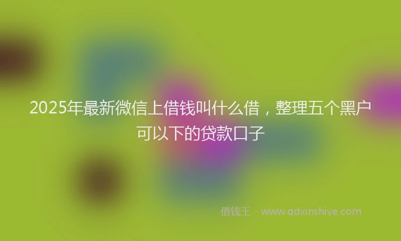 2025年最新微信上借钱叫什么借，整理五个黑户可以下的贷款口子